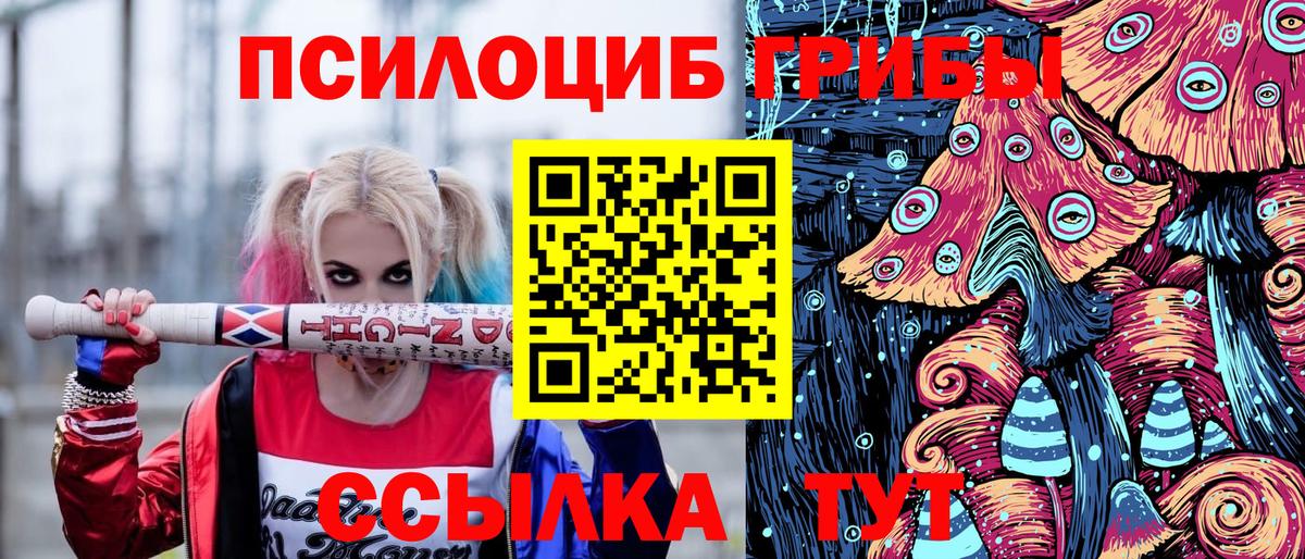 Псилоцибиновые грибы Psilocybe Заводоуковск