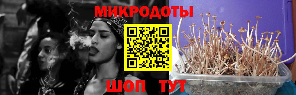 Заводоуковск  Галлюциногенные грибы прущие грибы  Вход с VPN 